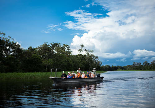 Skiff Ride with Guide in The Pacaya Samiria Reserve, Peru
