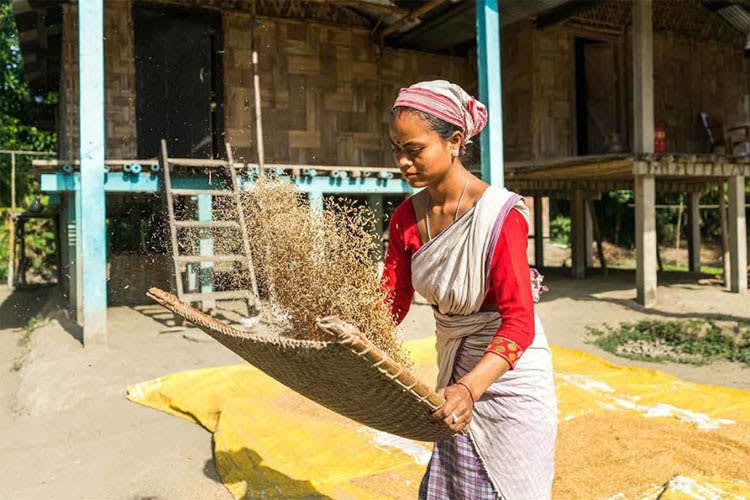 Sukapha - Brahmaputra Maximum - Day 9