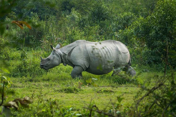 Sukapha - River Island Cruise - Day 2