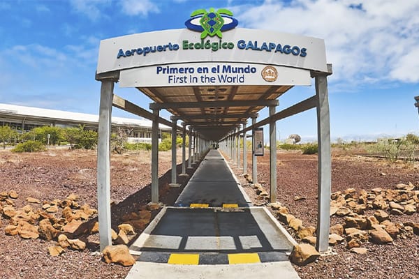 Tribute - Enchanted Escape