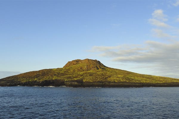 Tribute - Wildlife Discovery