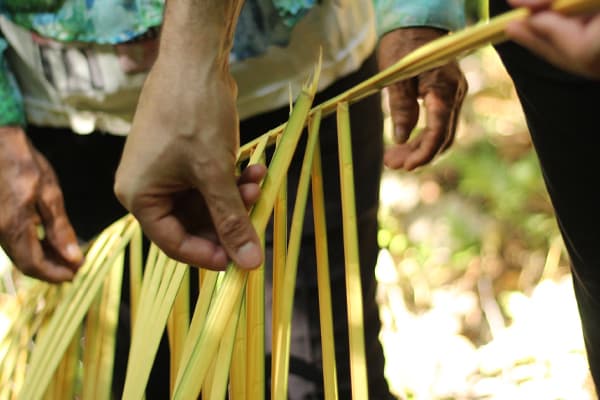 Tupaiú - Essential Encounter