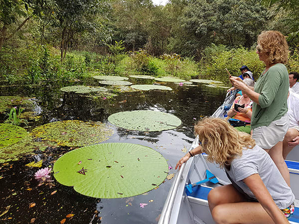 Iara's 5-Day Charter Cruise Day One - Victoria Regis Water Lily.