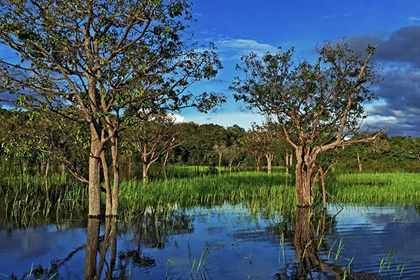 Jacaré Acu's 8-Day Cruise Day One - Welcome to the Jungle.